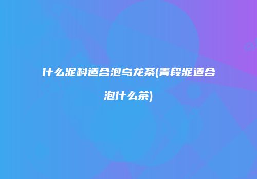 什么泥料适合泡乌龙茶(青段泥适合泡什么茶)