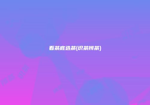 看茶底选茶(识茶辨茶)