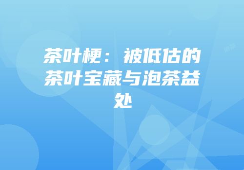 茶叶梗：被低估的茶叶宝藏与泡茶益处