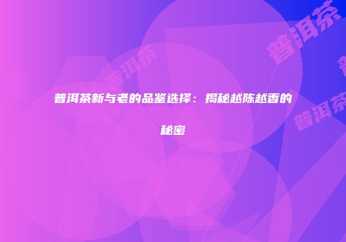 普洱茶新与老的品鉴选择：揭秘越陈越香的秘密