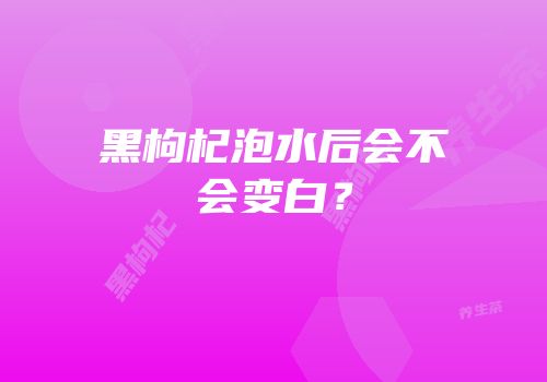 黑枸杞泡水后会不会变白？