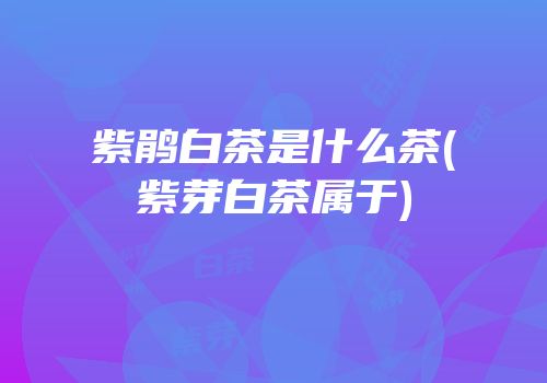 紫鹃白茶是什么茶(紫芽白茶属于)