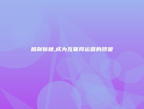披荆斩棘,成为互联网运营的翘楚