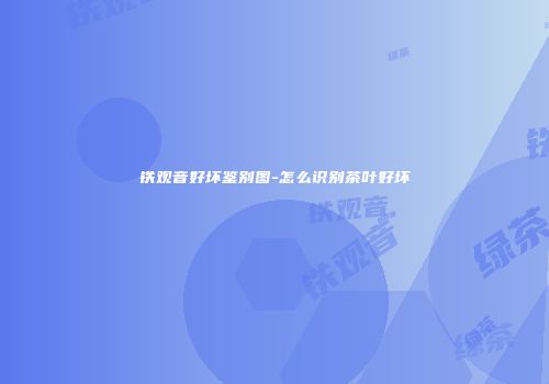 铁观音好坏鉴别图-怎么识别茶叶好坏