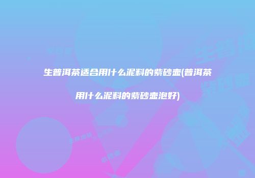 生普洱茶适合用什么泥料的紫砂壶(普洱茶用什么泥料的紫砂壶泡好)