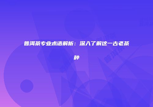 普洱茶专业术语解析：深入了解这一古老茶种
