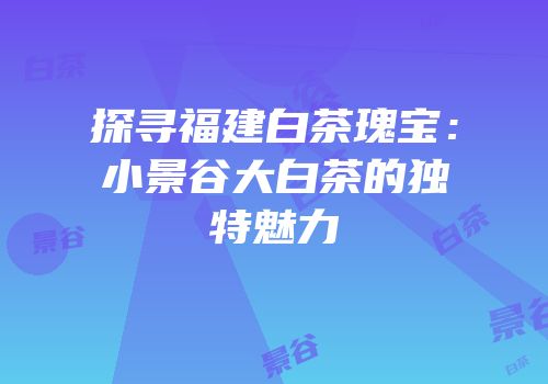 探寻福建白茶瑰宝：小景谷大白茶的独特魅力