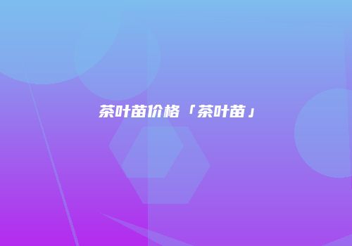 茶叶苗价格「茶叶苗」