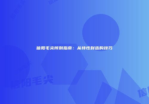 信阳毛尖辨别指南：从特性到选购技巧