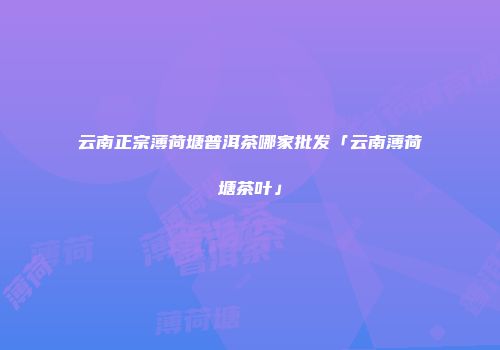 云南正宗薄荷塘普洱茶哪家批发「云南薄荷塘茶叶」