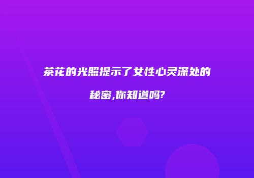 茶花的光照提示了女性心灵深处的秘密,你知道吗?