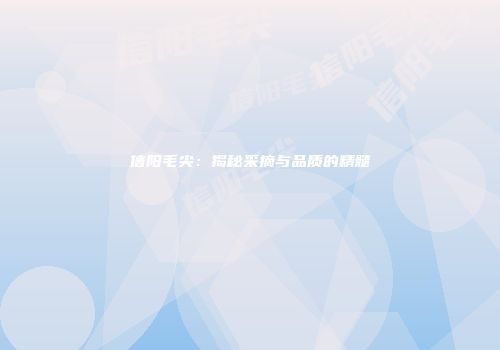 信阳毛尖：揭秘采摘与品质的精髓