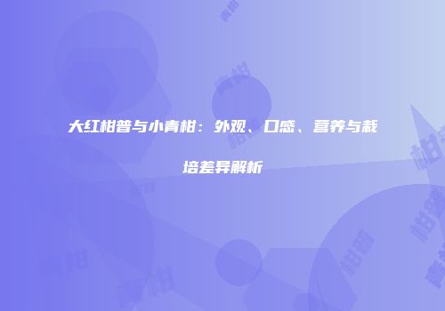 大红柑普与小青柑：外观、口感、营养与栽培差异解析