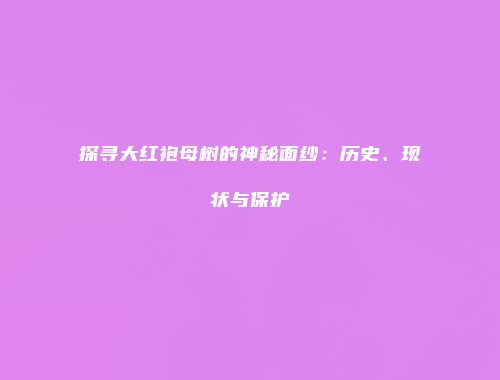 探寻大红袍母树的神秘面纱：历史、现状与保护