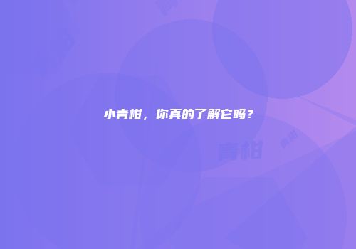 小青柑，你真的了解它吗？