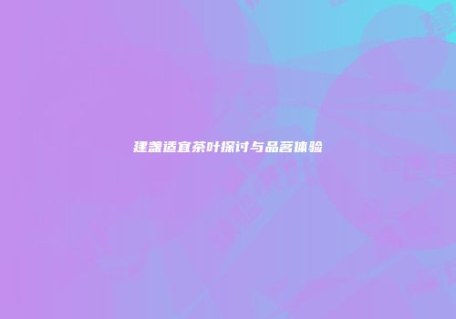 建盏适宜茶叶探讨与品茗体验