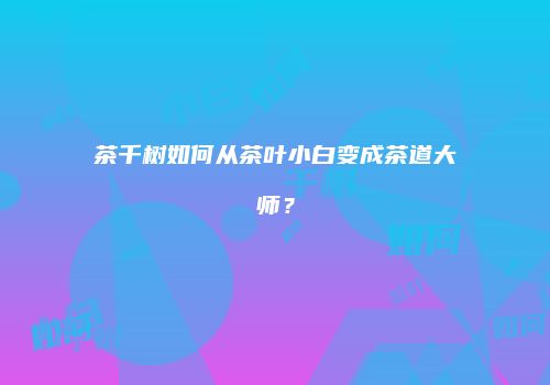 茶千树如何从茶叶小白变成茶道大师？