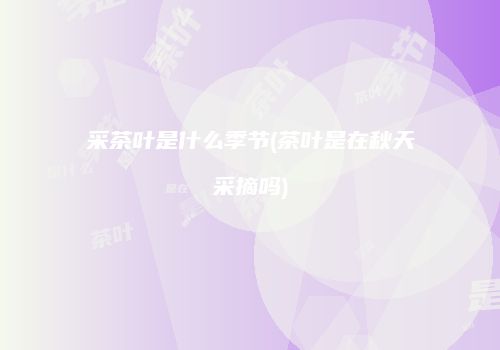 采茶叶是什么季节(茶叶是在秋天采摘吗)