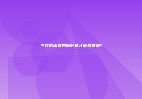 三百亩油茶如何种植才能结硕果?