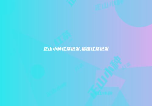 正山小种红茶批发,福建红茶批发