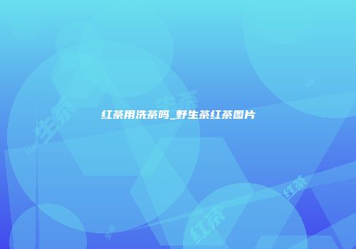 红茶用洗茶吗_野生茶红茶图片