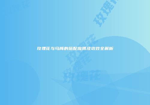 玫瑰花与乌梅的搭配应用及功效全解析