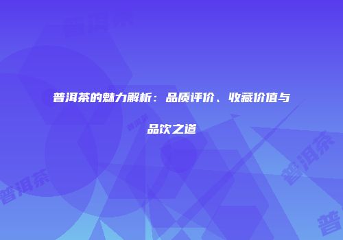 普洱茶的魅力解析：品质评价、收藏价值与品饮之道