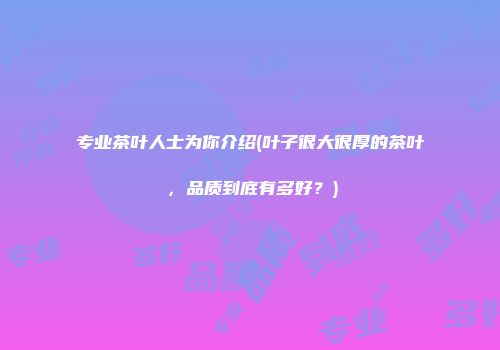 专业茶叶人士为你介绍(叶子很大很厚的茶叶，品质到底有多好？)
