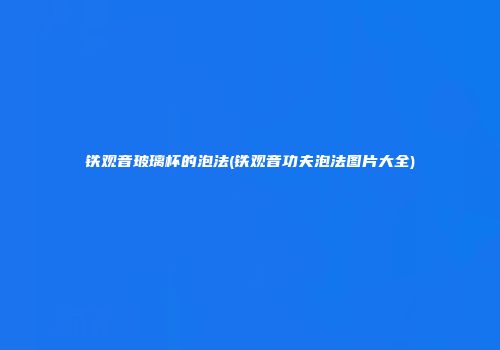 铁观音玻璃杯的泡法(铁观音功夫泡法图片大全)