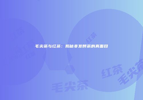 毛尖茶与红茶：揭秘非发酵茶的真面目