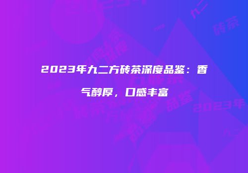 2023年九二方砖茶深度品鉴：香气醇厚，口感丰富