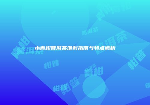 小青柑普洱茶泡制指南与特点解析