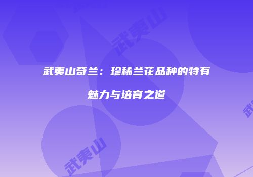 武夷山奇兰：珍稀兰花品种的特有魅力与培育之道
