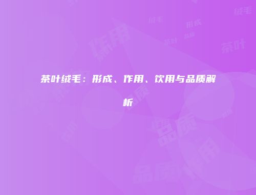 茶叶绒毛：形成、作用、饮用与品质解析