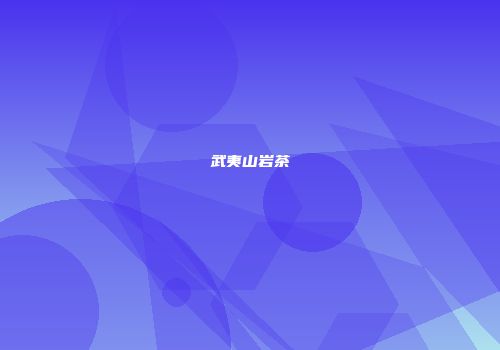 武夷山岩茶