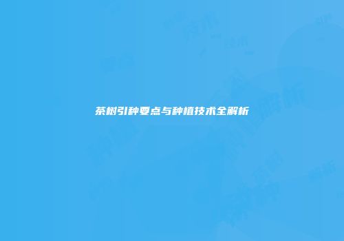 茶树引种要点与种植技术全解析
