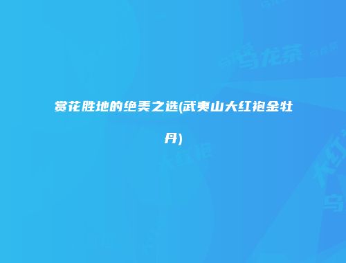 赏花胜地的绝美之选(武夷山大红袍金牡丹)
