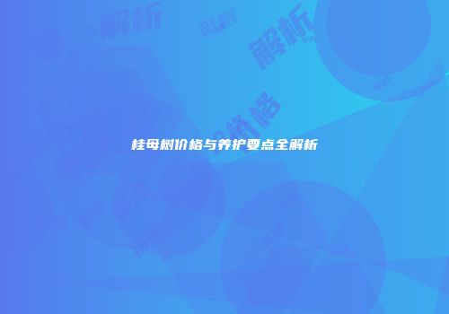 桂母树价格与养护要点全解析