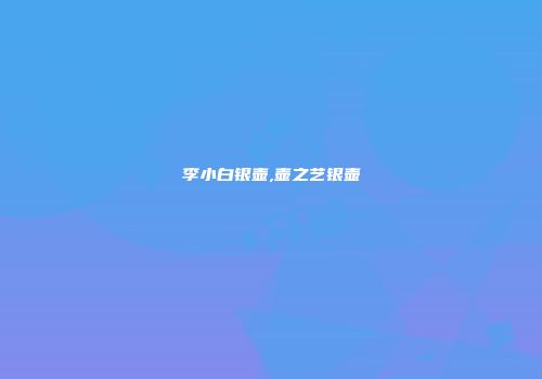 李小白银壶,壶之艺银壶