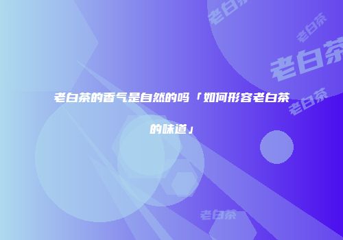 老白茶的香气是自然的吗「如何形容老白茶的味道」