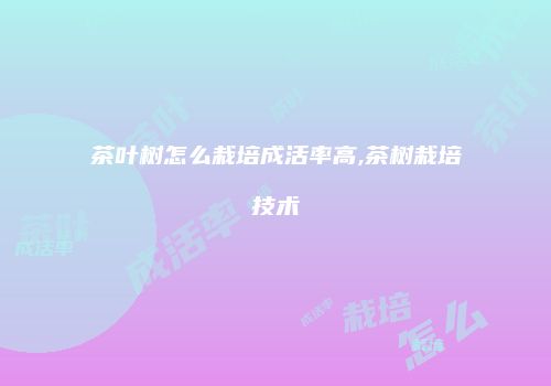茶叶树怎么栽培成活率高,茶树栽培技术