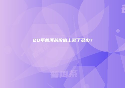 20年普洱茶价值上涨了多少？