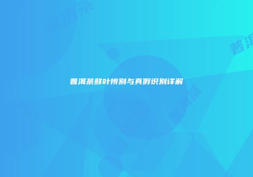 普洱茶鲜叶辨别与真假识别详解