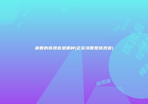 最香的铁观音是哪种(正宗浓香型铁观音)