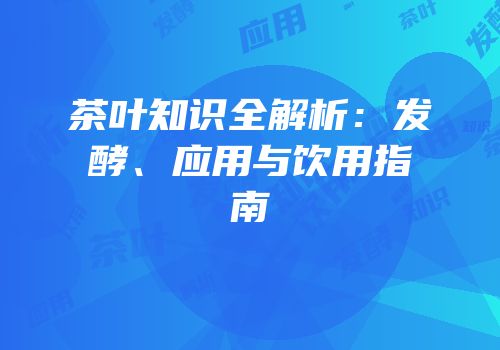 茶叶知识全解析：发酵、应用与饮用指南