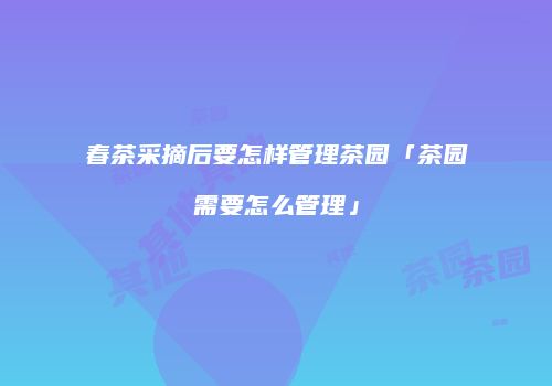 春茶采摘后要怎样管理茶园「茶园需要怎么管理」