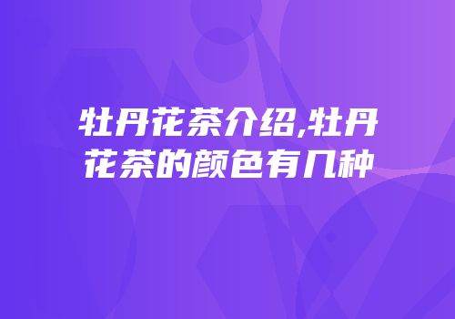 牡丹花茶介绍,牡丹花茶的颜色有几种