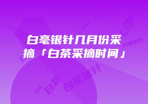 白毫银针几月份采摘「白茶采摘时间」