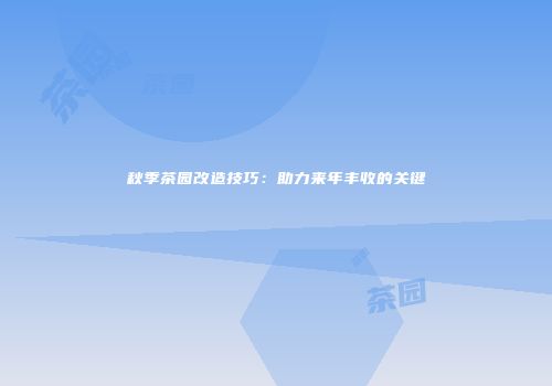 秋季茶园改造技巧：助力来年丰收的关键