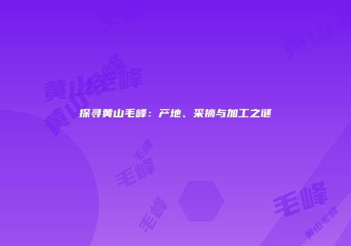 探寻黄山毛峰：产地、采摘与加工之谜
